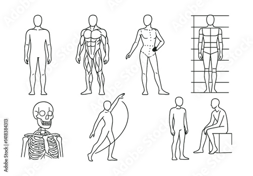 Line vector icons of figure drawing: human body, muscle form, reference pose, proportions line, anatomy sketch, gesture arc, standing model, sitting form.