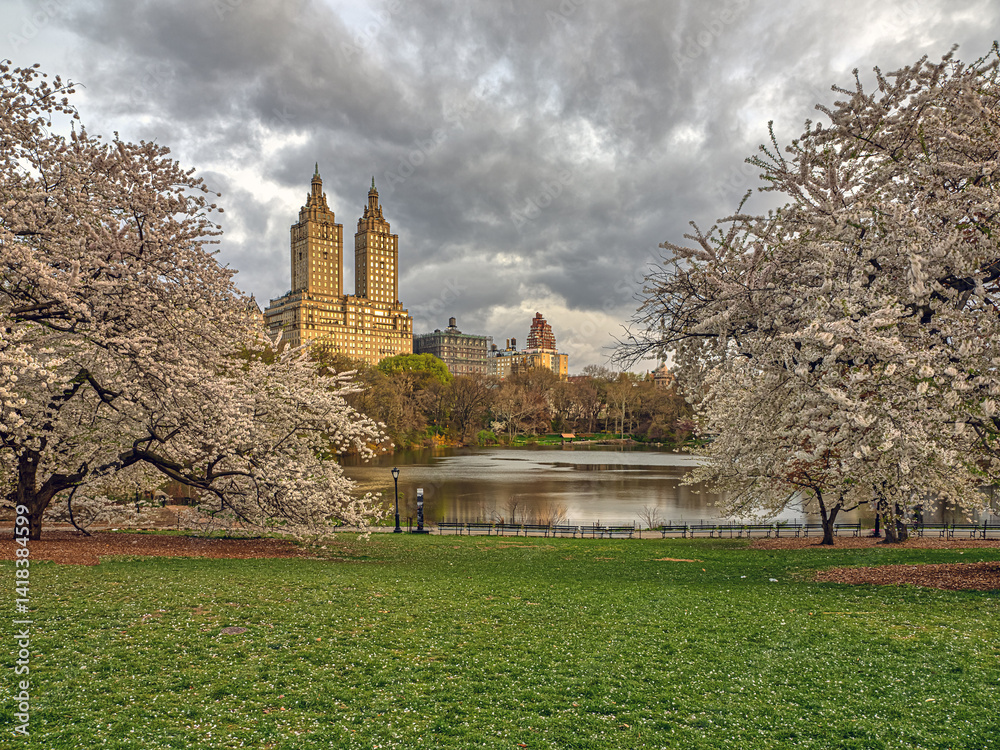 Central Park, New York City at the lake