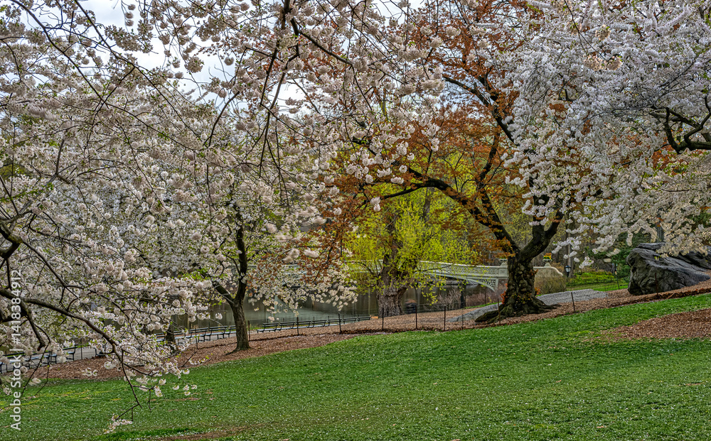 Bow bridge