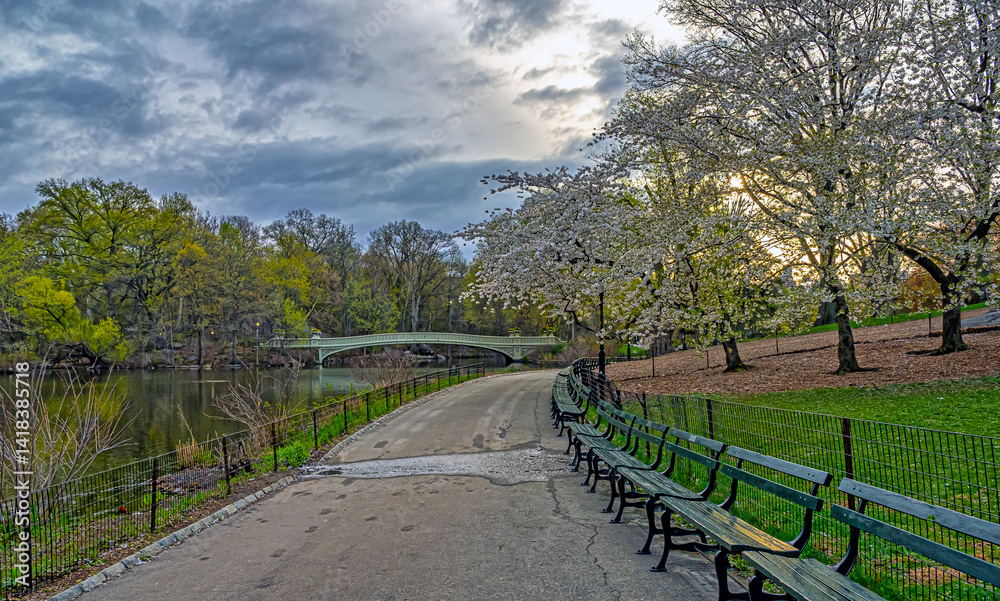 Bow bridge, spring in early morning