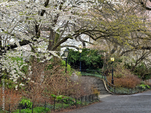 Central Park in spring, early morning