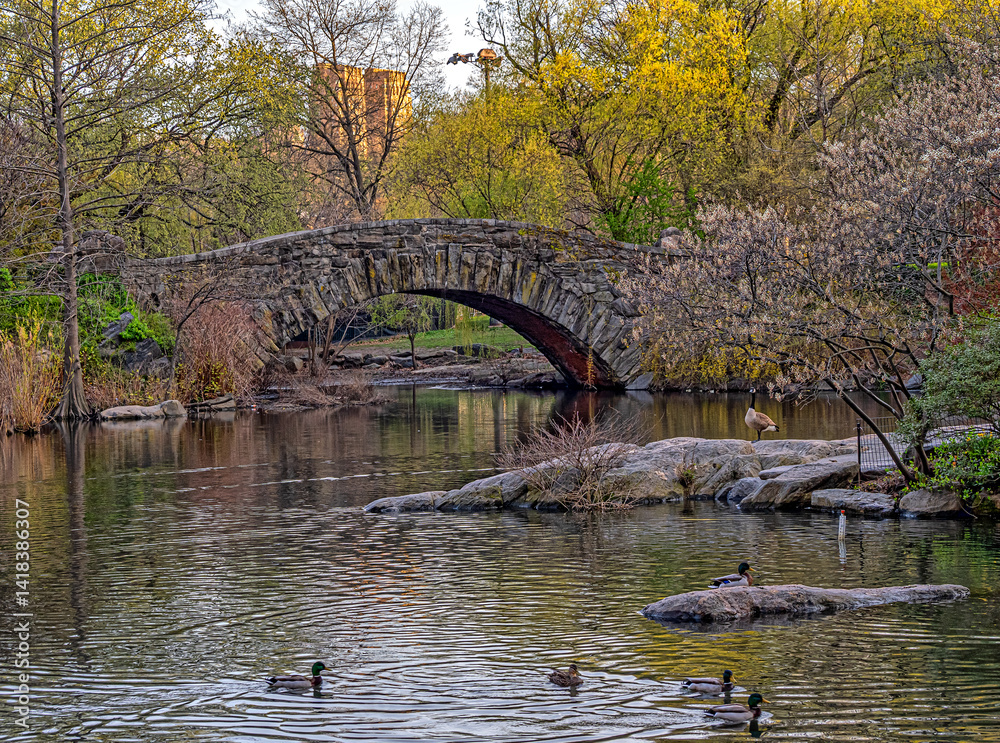 Gapstow Bridge in Central Park, early spring