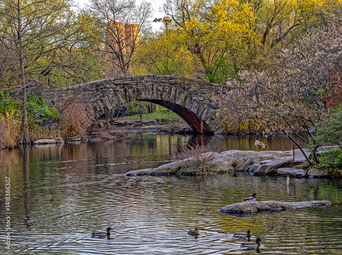 Obraz na płótnie Gapstow Bridge in Central Park, early spring w salonie