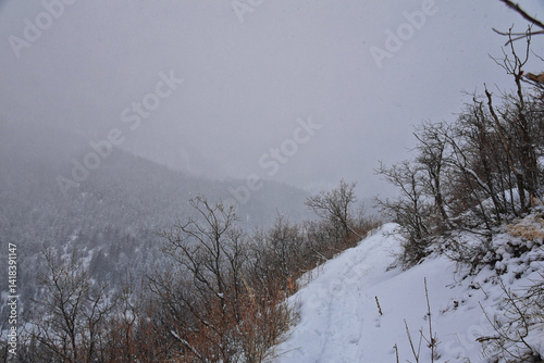 Tibble Fork Loop hiking winter storm snow views of trail Lone Peak Wilderness Uinta Wasatch Cache National Forest, Rocky Mountains, Utah. United States. photo