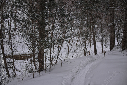 Tibble Fork Loop hiking winter storm snow views of trail Lone Peak Wilderness Uinta Wasatch Cache National Forest, Rocky Mountains, Utah. United States. photo