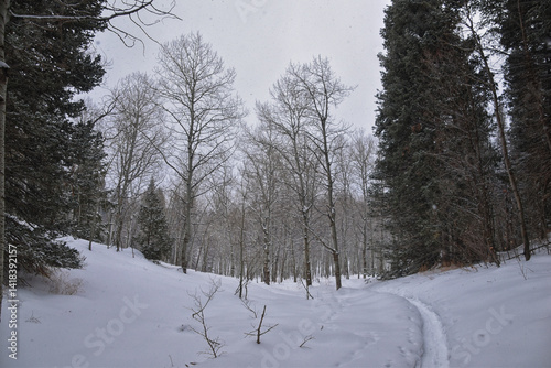 Tibble Fork Loop hiking winter storm snow views of trail Lone Peak Wilderness Uinta Wasatch Cache National Forest, Rocky Mountains, Utah. United States. photo