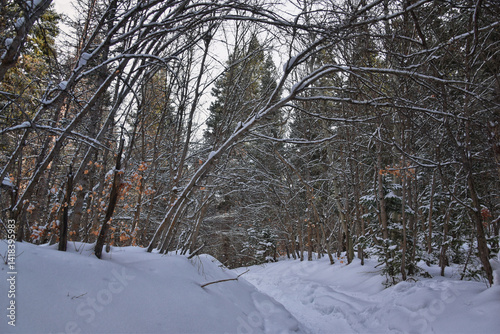 Obraz na płótnie Tibble Fork Loop hiking winter storm snow views of trail Lone Peak Wilderness Uinta Wasatch Cache National Forest, Rocky Mountains, Utah. United States. w salonie
