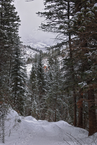 Obraz na płótnie Tibble Fork Loop hiking winter storm snow views of trail Lone Peak Wilderness Uinta Wasatch Cache National Forest, Rocky Mountains, Utah. United States. w salonie