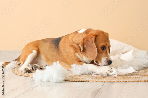 Naughty Beagle dog with torn pillow and toilet paper roll sitting near beige wall