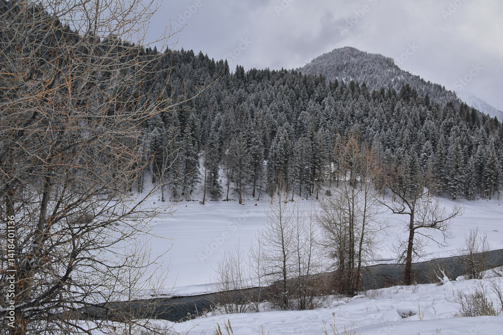 Tibble Fork Loop winter storm snow views from hiking trail Lone Peak Wilderness Uinta Wasatch Cache National Forest, Rocky Mountains, Utah. United States.