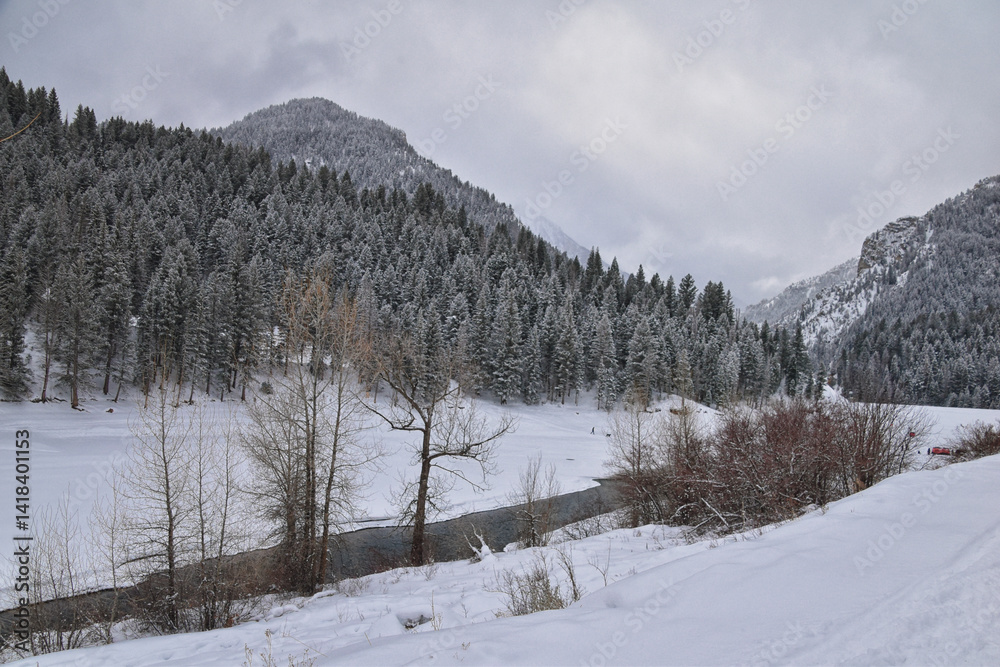 Tibble Fork Loop winter storm snow views from hiking trail Lone Peak Wilderness Uinta Wasatch Cache National Forest, Rocky Mountains, Utah. United States.