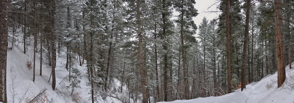Tibble Fork Loop winter storm snow views from hiking trail Lone Peak Wilderness Uinta Wasatch Cache National Forest, Rocky Mountains, Utah. United States.