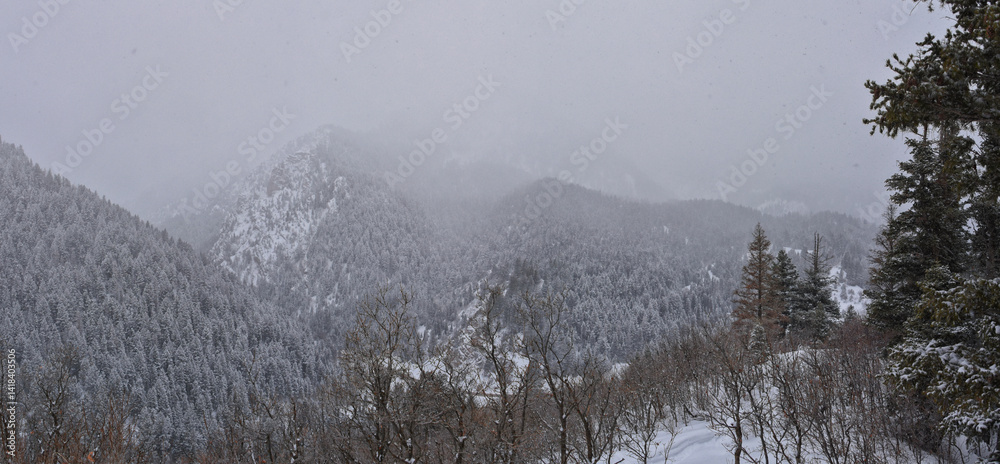Tibble Fork Loop winter storm snow views from hiking trail Lone Peak Wilderness Uinta Wasatch Cache National Forest, Rocky Mountains, Utah. United States.