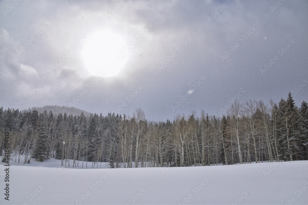 Tibble Fork Loop winter storm snow views from hiking trail Lone Peak Wilderness Uinta Wasatch Cache National Forest, Rocky Mountains, Utah. United States.