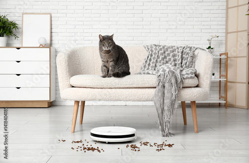 Cute cat, scattered food an...