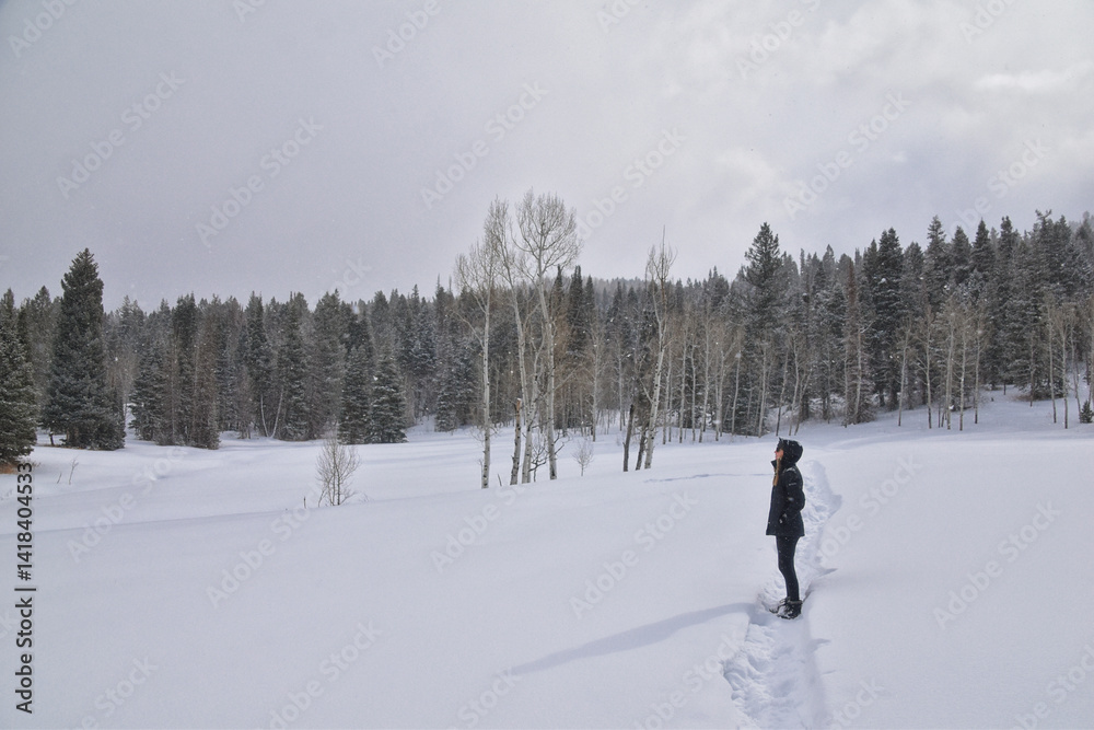 Tibble Fork Loop winter storm snow views from hiking trail Lone Peak Wilderness Uinta Wasatch Cache National Forest, Rocky Mountains, Utah. United States.