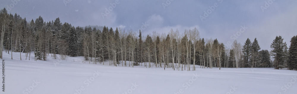 Tibble Fork Loop winter storm snow views from hiking trail Lone Peak Wilderness Uinta Wasatch Cache National Forest, Rocky Mountains, Utah. United States.