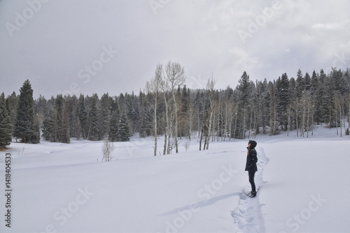 Obraz na płótnie Tibble Fork Loop winter storm snow views from hiking trail Lone Peak Wilderness Uinta Wasatch Cache National Forest, Rocky Mountains, Utah. United States. w salonie
