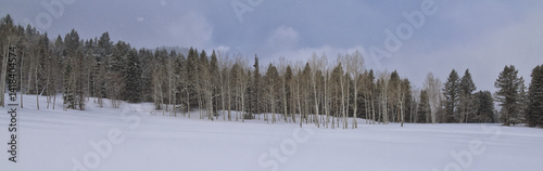 Obraz na płótnie Tibble Fork Loop winter storm snow views from hiking trail Lone Peak Wilderness Uinta Wasatch Cache National Forest, Rocky Mountains, Utah. United States. w salonie