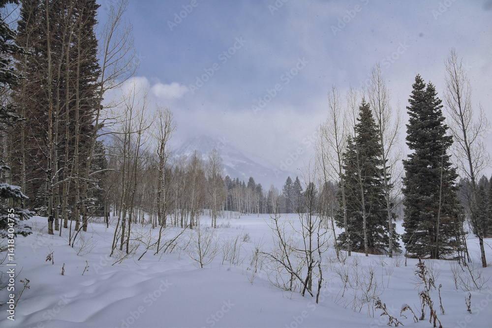 Tibble Fork Loop winter storm snow views from hiking trail Lone Peak Wilderness Uinta Wasatch Cache National Forest, Rocky Mountains, Utah. United States.