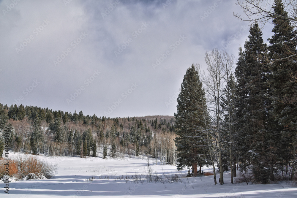 Tibble Fork Loop winter storm snow views from hiking trail Lone Peak Wilderness Uinta Wasatch Cache National Forest, Rocky Mountains, Utah. United States.