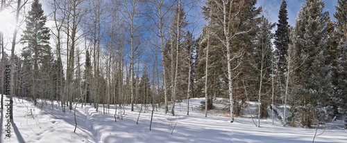 Obraz na płótnie Tibble Fork Loop winter storm snow views from hiking trail Lone Peak Wilderness Uinta Wasatch Cache National Forest, Rocky Mountains, Utah. United States. w salonie