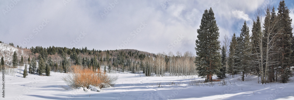 Tibble Fork Loop winter storm snow views from hiking trail Lone Peak Wilderness Uinta Wasatch Cache National Forest, Rocky Mountains, Utah. United States.