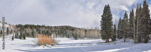 Tibble Fork Loop winter storm snow views from hiking trail Lone Peak Wilderness Uinta Wasatch Cache National Forest, Rocky Mountains, Utah. United States.