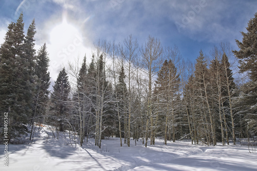 Tibble Fork Loop winter storm snow views from hiking trail Lone Peak Wilderness Uinta Wasatch Cache National Forest, Rocky Mountains, Utah. United States. photo