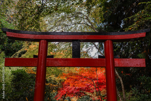 Wallpaper Mural Gate at Japanese Garden at The Butchart Gardens on Vancouver Island in British Columbia Canada in Fall Torontodigital.ca