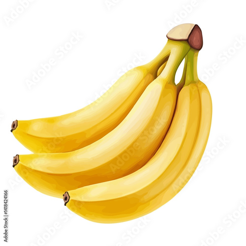 Bunch Of Ripe Bananas, watercolor vector, isolated on a white background.