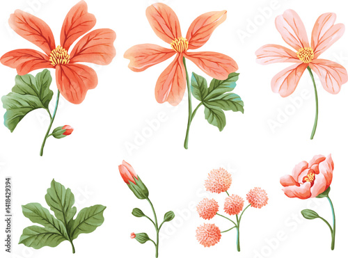 Watercolor set of tropical pink and coral flowers with tropical leaves. Includes large blossoms, buds, and pompom flowers. Great for tropical-themed, bohemian, and nature-inspired designs.