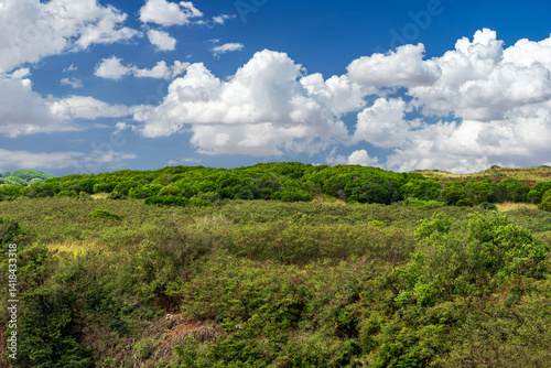A hill with lush green shrubbery and cloudy sky in Kauai, Hawaii photo