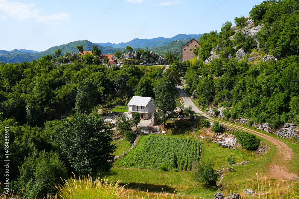 Aerial view of Cetinje, the former capital of Montenegro in the Balkans - Houses in a lush valley surrounded by the mountains of Eastern Europe
