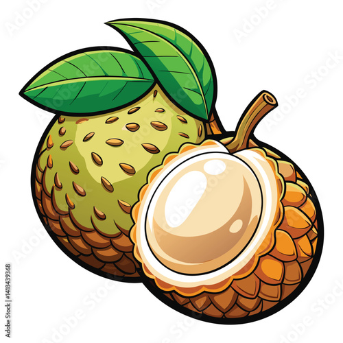 Tropical Fruit Illustration (2)