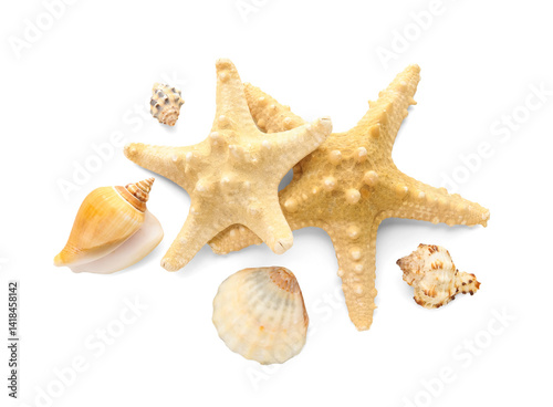Different sea shells and st...