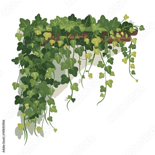 Experience the beauty of nature with this illustration of lush green ivy vines cascading over a rustic wooden shelf. Perfect for home decor and botanical themes.