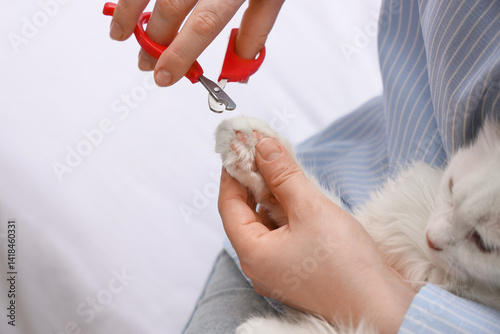 Woman trimming fluffy cat's...