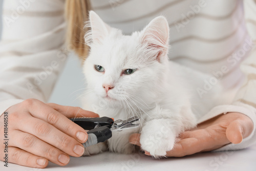 Woman trimming fluffy cat's...