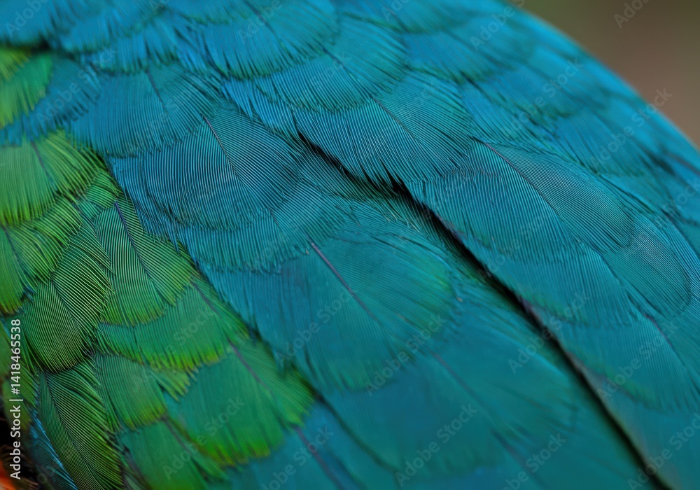 Obraz premium Detailed view of teal and green bird feathers, showcasing rich texture and layered design elements.