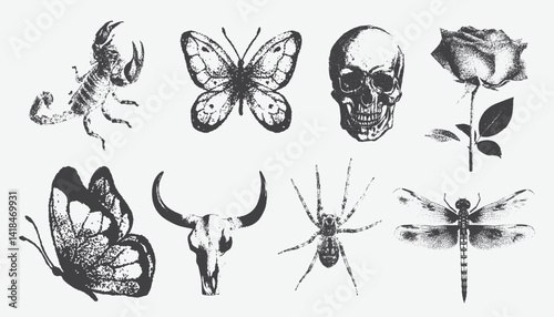 Creepy Halloween Scorpion, spider, butterflies, Skull, Dragonfly, collage element with vintage stippling photocopy effect. with experimental grunge dotted texture