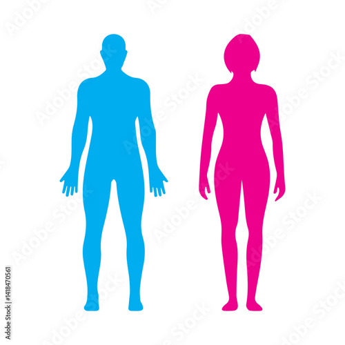 male and female human bodies colored icon
