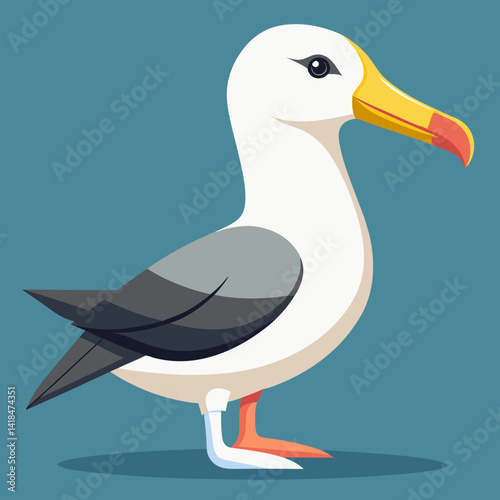 Albatros de Buller du Sud, océan Pacifique, Australie