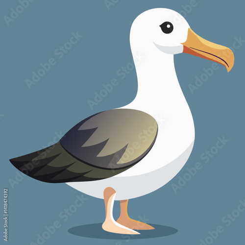 Albatros de Buller du Sud, océan Pacifique, Australie