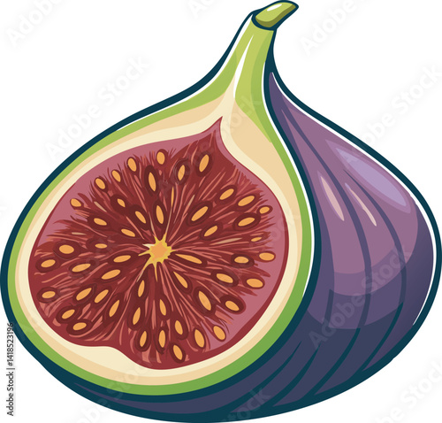 A vibrant vector art illustration showcasing a delicious, ripe fig fruit, detailed with rich colors and textures, perfect for digital designs.