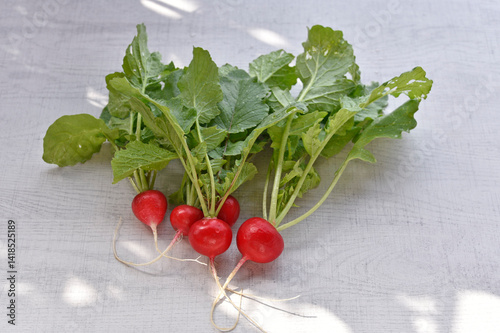Homegrown organic radish on wood background.