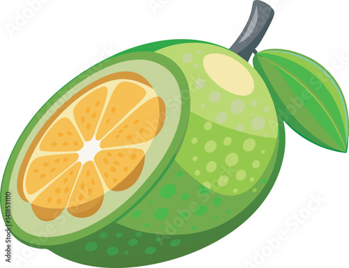 A vibrant vector art illustration of a delicious finger lime fruit, showcasing its colorful caviar-like pulp in a fresh, realistic style.