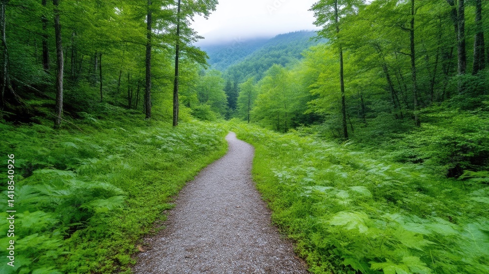 Fototapeta premium A serene forest path winding through lush green foliage, leading into the distant misty mountains, and tranquil nature scene with vibrant greenery.