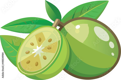 A vibrant vector art illustration of delicious feijoa fruit, showcasing its juicy green interior and fresh tropical appeal in detailed style.