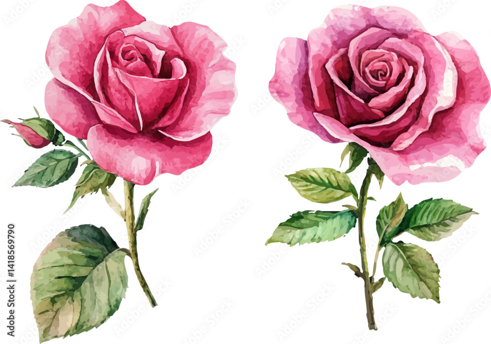 Fototapeta premium Botanical Watercolor Pink Rose